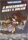 A Midsummer Night's Dream - Richard Appignanesi, Kate Brown, William Shakespeare