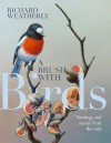 A Brush with Birds: Paintings and stories from the wild - Richard Weatherly
