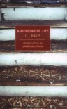 A Meaningful Life (New York Review Books Classics) - L.J. Davis