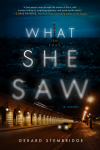 What She Saw: A Novel - Gerard Stembridge