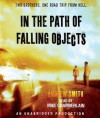 In the Path of Falling Objects - Andrew  Smith, Mike Chamberlain