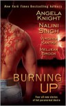 Burning Up - Angela Knight,  Nalini Singh