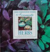 Aromatic Herbs - Sally Anne Scott