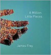 A Million Little Pieces (Audiocd) - James Frey