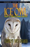 The Ice Owl - Carolyn Ives Gilman