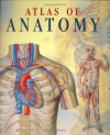 Atlas Of Human Anatomy - Giovanni Iazzetti