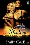 Public Display of Affection (1 Night Stand Series) - Emily Cale