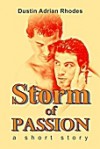 Storm of Passion: A Short Story - Dustin Adrian Rhodes