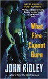 What Fire Cannot Burn - John Ridley