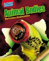 Animal Bodies: Extreme Anatomies (Extreme Biology) - Louise Spilsbury