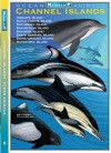 Channel Islands Ocean Animals (Weekend Naturalist Nature Guide Foldout #6) - Dawn Navarro Ericson, Robert N. Lea, Shauna Bingham