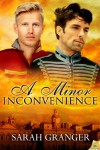 A Minor Inconvenience - Sarah Granger