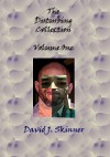The Disturbing Collection - David J. Skinner