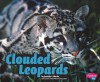 Clouded Leopards - Jennifer L. Marks, Gail Saunders-Smith