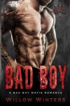 Bad Boy: A Dark Standalone Mafia Romance - Willow Winters