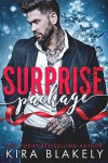 Surprise Package: A Bad Boy Christmas Romance - Kira Blakely
