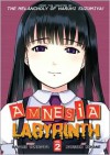 Amnesia Labyrinth, Vol. 2 - Nagaru Tanigawa, Natsumi Kohane