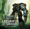 Labyrinth of Sorrows (Warhammer 40,000 Audio Drama) - George Mann