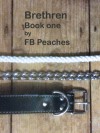 Brethren, Life In Bondage: Book One (Brethren, #1) - F.B. Peaches