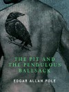 The Pit and the Pendulous Ballsack - Edgar Allan Pole,  Andrew Shaffer