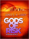 Gods of Risk: An Expanse Novella - James S.A. Corey