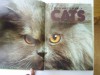 Complete Book of Cats - Judith A. Steeh