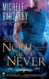 Now or Never - Michele Bardsley
