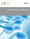 Human Biology - Reproduction - CK-12 Foundation