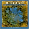 Bluebird Rescue: Country Life Nature Guide - Joan Rattner Heilman