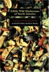 Edible Wild Mushrooms of North America: A Field-to-kitchen Guide - David W. Fischer