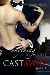 Anything He Wants: Castaway (#4) - Sara Fawkes