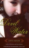Devil Water (Rediscovered Classics) - Philippa Gregory, Anya Seton
