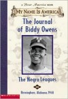 The Journal of Biddy Owens: The Negro Leagues, Birmingham, Alabama, 1948 - 