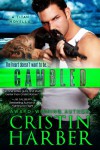 Gambled: A Titan Novella - Cristin Harber