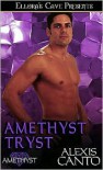 Amethyst Tryst - Alexis Canto