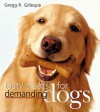 Tasty Treats for Demanding Dogs - Gregg R. Gillespie