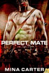 Perfect Mate - Mina Carter