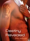 A Destiny Revealed - Dria Andersen