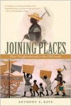 Joining Places: Slave Neighborhoods in the Old South (The John Hope Franklin Series in African American History and Culture) - Anthony E. Kaye