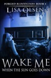 Wake Me When the Sun Goes Down - Lisa Olsen