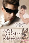 Love Comes in Darkness  - Andrew  Grey