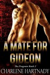 A Mate for Gideon - Charlene Hartnady