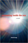 Swimming Inside the Sun - David     Zweig