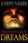 Brimstone Dreams - Maria Alexander, Scott Nicholson, Joe McKinney, Joseph Nassise, Lisa Morton, Kealan Patrick Burke, Simon Wood, Jeremy C. Shipp, Nate Kenyon