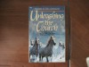 Unleashing the Church: Getting People Out of the Fortress and into Ministry - Frank R. Tillapaugh