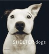 Shelter Dogs - Traer Scott