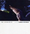 The Quick of It: Poems - Eamon Grennan