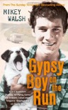 Gypsy Boy On The Run - Mikey Walsh