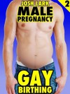 Gay Birthing, an Mpreg Pregnant Anal Sex Story (Male Pregnancy #2) - Josh Lark