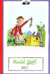 Boy - Roald Dahl